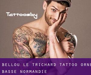 Bellou-le-Trichard tattoo (Orne, Basse-Normandie)