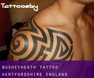 Busheyheath tattoo (Hertfordshire, England)