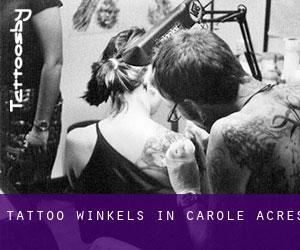 Tattoo winkels in Carole Acres